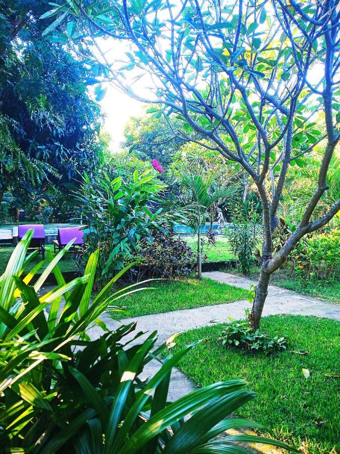 Mango Moon Hotel Pemuteran  Bagian luar foto