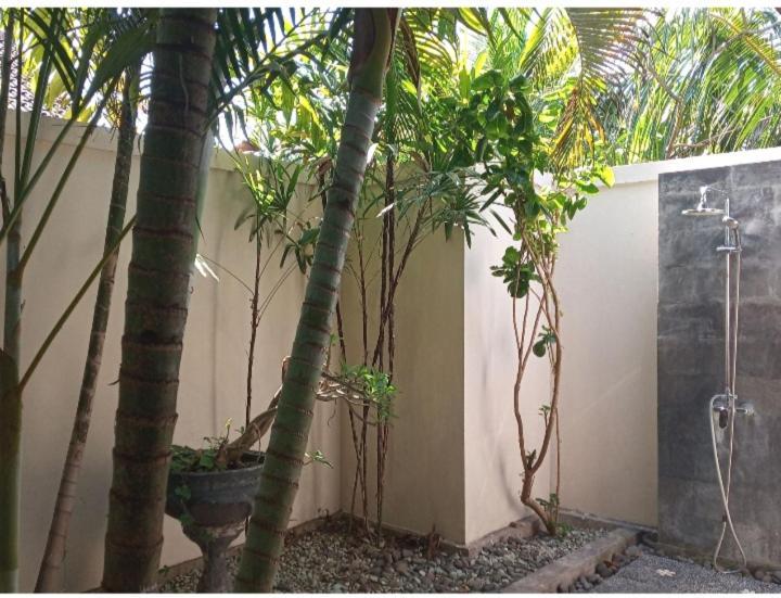 Mango Moon Hotel Pemuteran  Bagian luar foto