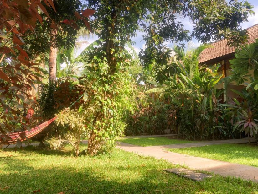 Mango Moon Hotel Pemuteran  Bagian luar foto
